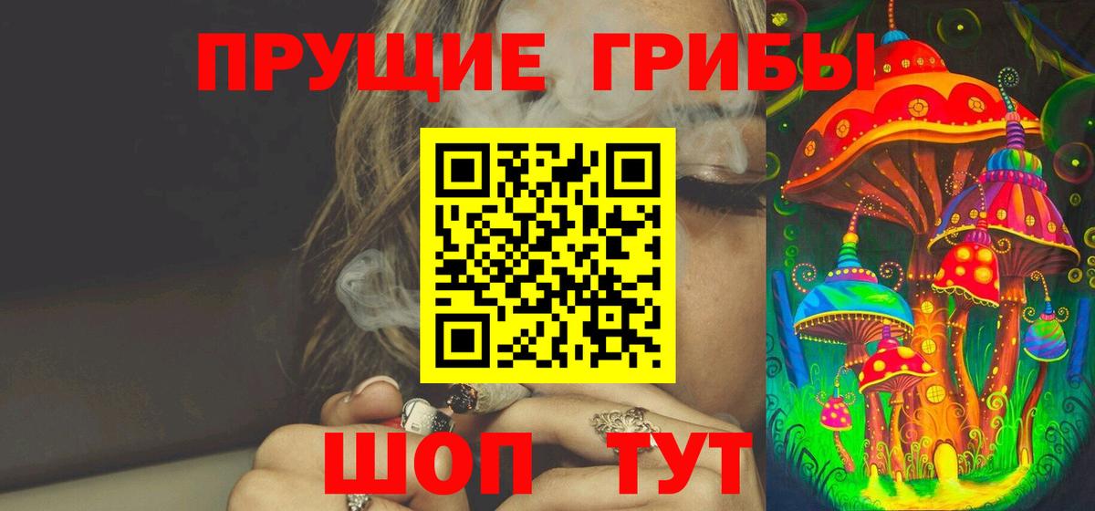 Псилоцибиновые грибы мицелий Ишимбай
